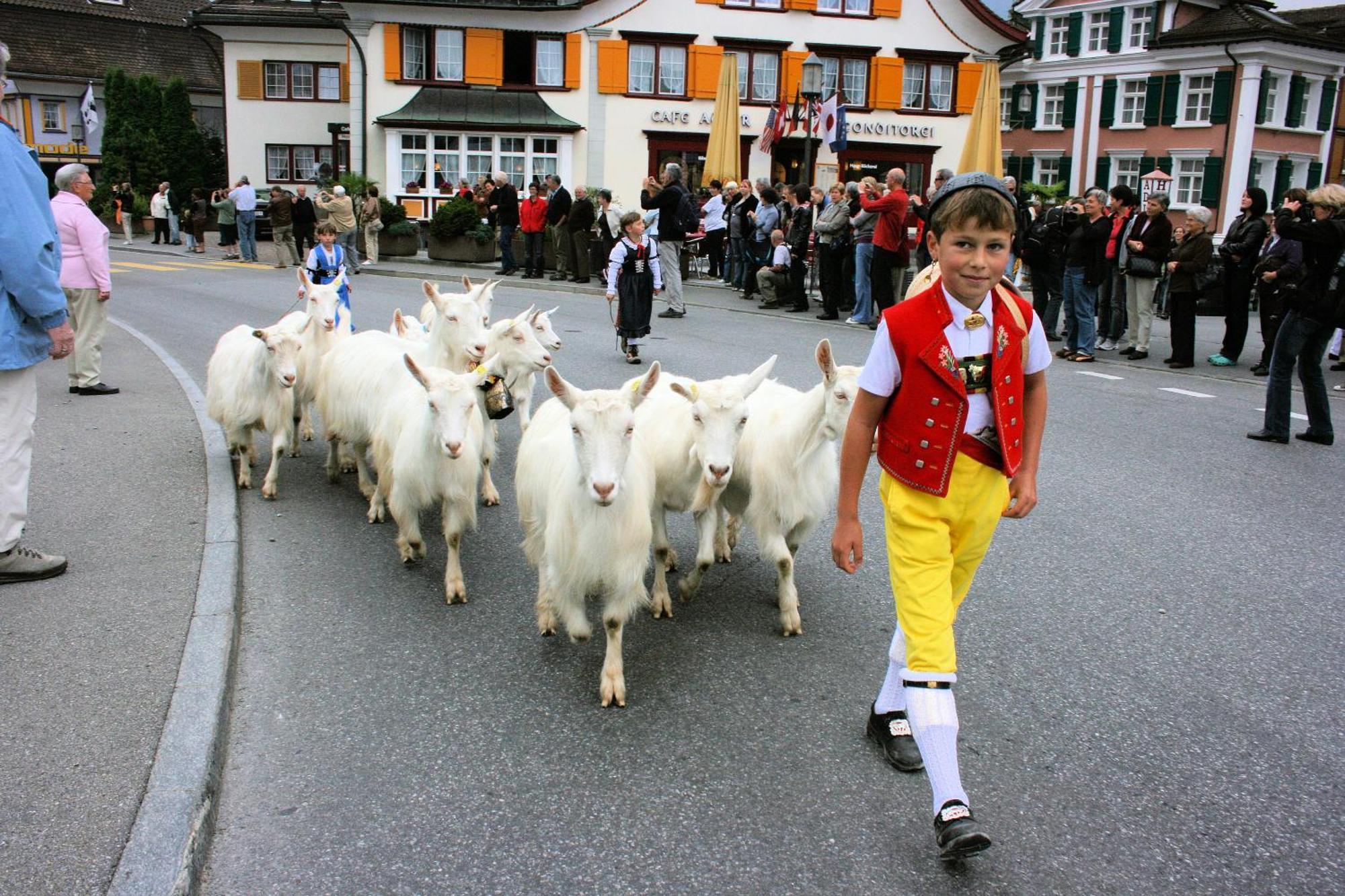 Adler Hotel Appenzell Buitenkant foto